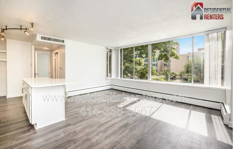 Lower East Side Condo at the Fenwick. Garage Parking, Roof Top Lakefront Views, Great Location! property image