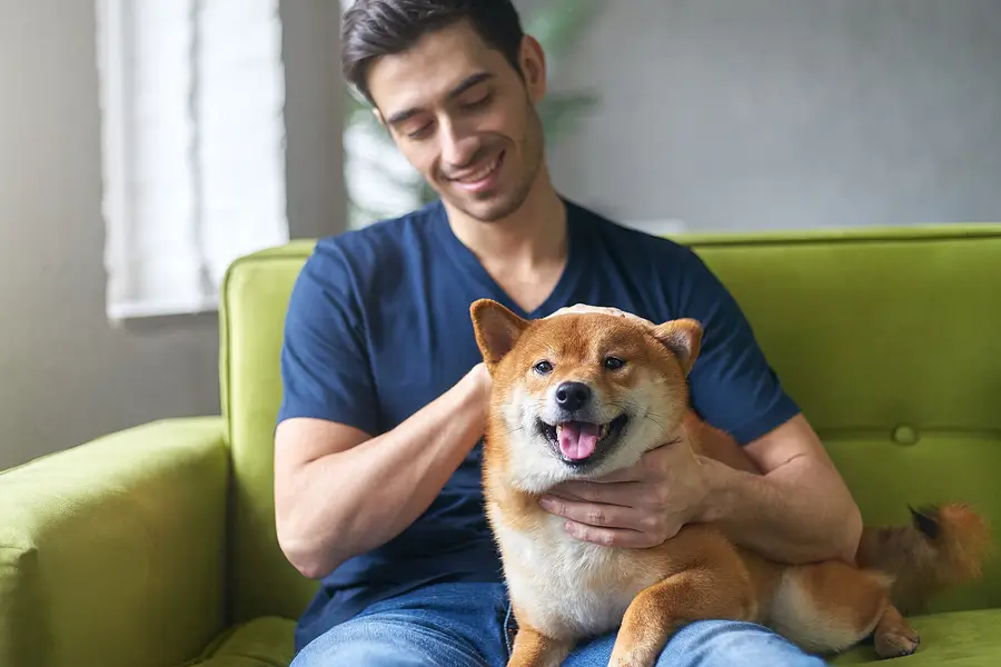 How to Screen for Responsible Pet Owners for Your Milwaukee Rental Property